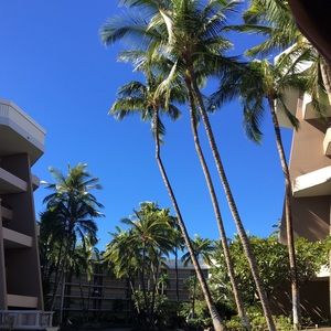 Meet your Posher, Kailee